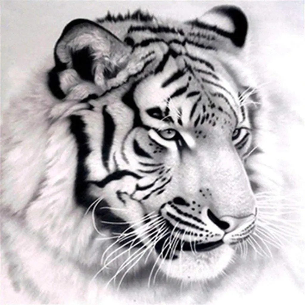 5D Full Round with AB Drill Mosaic Embroidery Black and White Tiger Animal Diamond Painting Kits Cross Stitch Christmas Gift
5D Full Round with AB Drill Mosaic Embroidery Black and White Tiger Animal Diamond Painting Kits Cross Stitch Christmas Gift