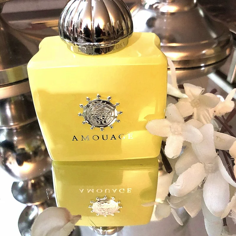 Parfum Fresh Eau De Toilette Specially Researched for People A Good-smelling Parfum That Gives You A Unique Taste
Parfum Fresh Eau De Toilette Specially Researched for People A Good-smelling Parfum That Gives You A Unique Taste