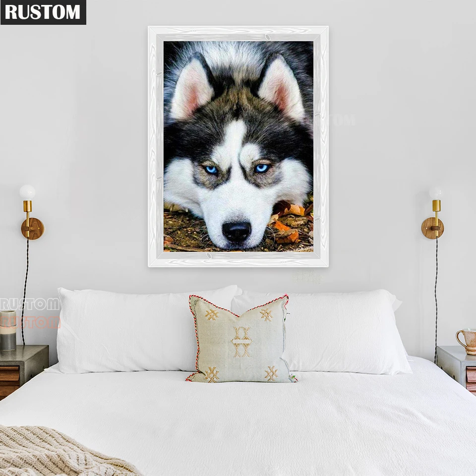 Manual Gift New 5D DIY Diamond Painting Animal Cross Stitch Husky Diamond Embroidery Full Square Round Drill Crafts Home Decor
Manual Gift New 5D DIY Diamond Painting Animal Cross Stitch Husky Diamond Embroidery Full Square Round Drill Crafts Home Decor