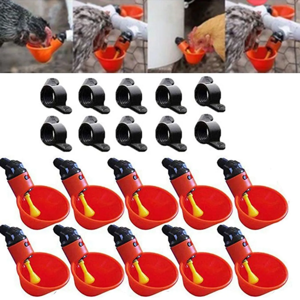 10Pcs Chicken Quail Hanging Water Cups Nipple Drinking Bowl Birds Water Bowl Drinker Cups For Backyard Automatic Poultry Hot!
10Pcs Chicken Quail Hanging Water Cups Nipple Drinking Bowl Birds Water Bowl Drinker Cups For Backyard Automatic Poultry Hot!