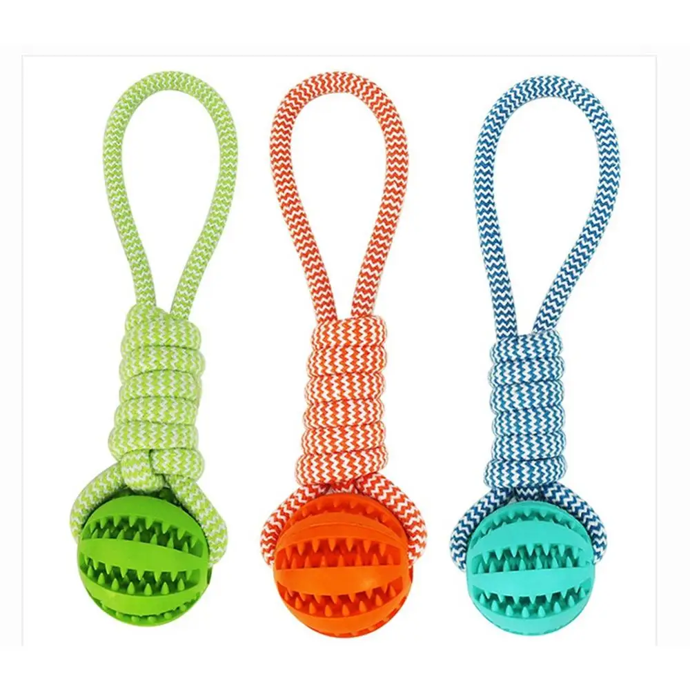 

Funny Pet Molar Bite Dog Toys Rubber Chew Ball Cleaning Teeth Safe Elasticity TPR Soft Puppy Suction Cup Biting Dog Toy