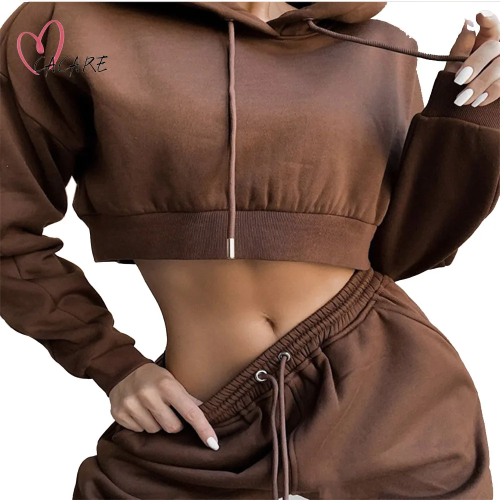 Fashion 2 Piece Outfits Women Hooded Pants Sweat Suits Sports Tracksuit for Ladies Crop Top Hoodie and Jogger Sets F0698 CACARE
Fashion 2 Piece Outfits Women Hooded Pants Sweat Suits Sports Tracksuit for Ladies Crop Top Hoodie and Jogger Sets F0698 CACARE