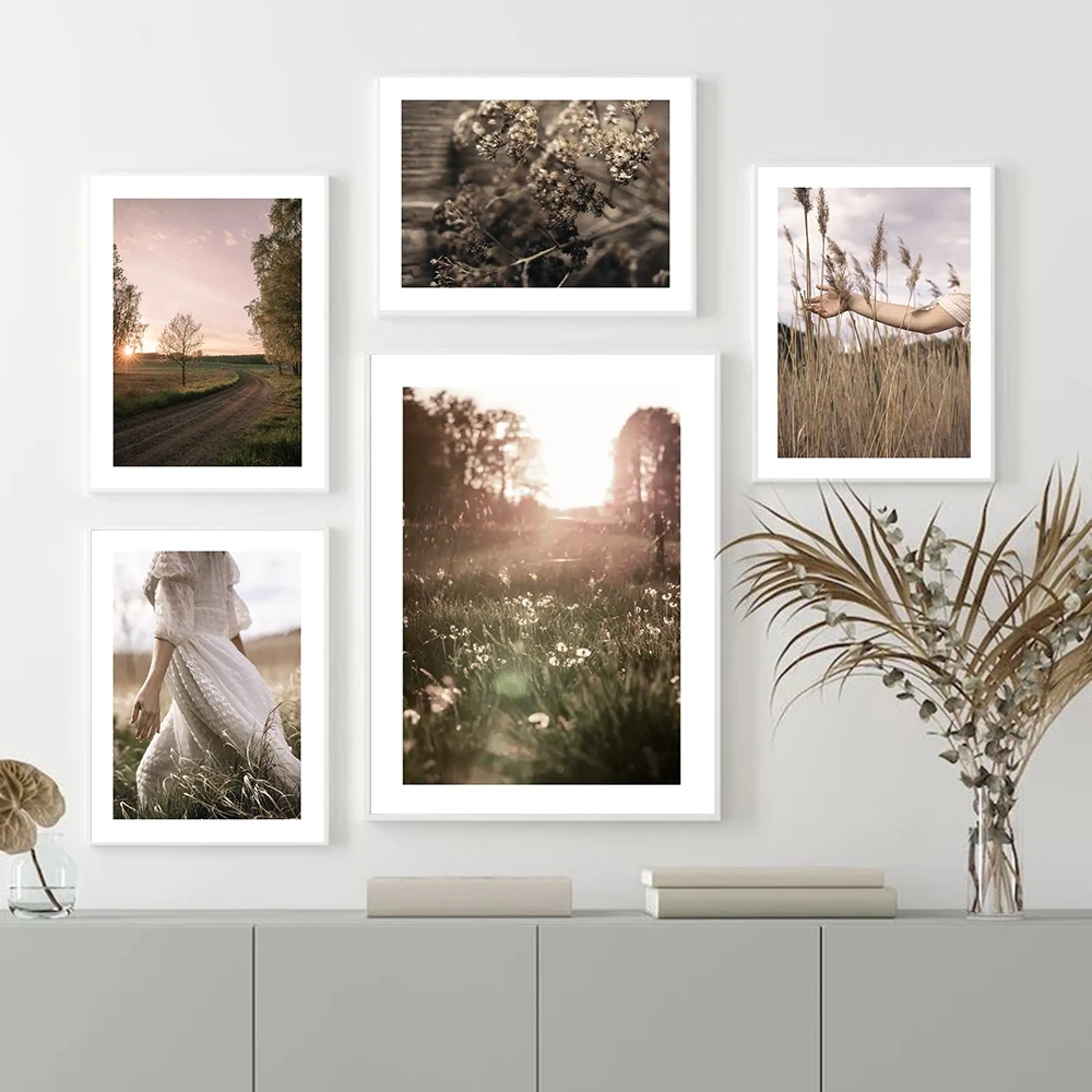 Sunlight Nature Scenery Poster And Prints Reed Grass Landscape Wall Art Living room Decoration Girl Pictures Canvas Painting 
Sunlight Nature Scenery Poster And Prints Reed Grass Landscape Wall Art Living room Decoration Girl Pictures Canvas Painting