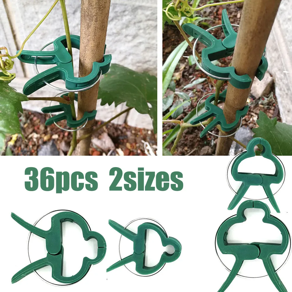36PCS Gardening Plant Fixed Buckle Orchid Clip Flower Cucumber Tomato Fixed Plastic Coated Steel Pipe Support Butterfly Clip
36PCS Gardening Plant Fixed Buckle Orchid Clip Flower Cucumber Tomato Fixed Plastic Coated Steel Pipe Support Butterfly Clip