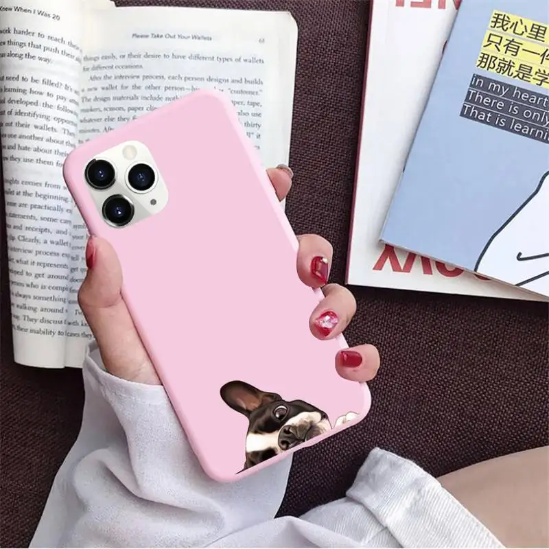 Pug Dog French Bulldog Phone Case Candy Color for iPhone 11 12 pro XS MAX 8 7 6 6S Plus X 5S SE 2020 XR
Pug Dog French Bulldog Phone Case Candy Color for iPhone 11 12 pro XS MAX 8 7 6 6S Plus X 5S SE 2020 XR