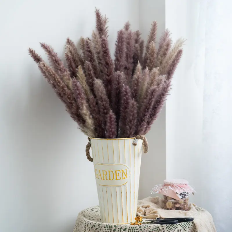 60pcs Natural Dried Small Pampas Grass Communis Phragmites Wedding Flower Bunch for Home Decor Decoration Small Reed Pampa
60pcs Natural Dried Small Pampas Grass Communis Phragmites Wedding Flower Bunch for Home Decor Decoration Small Reed Pampa