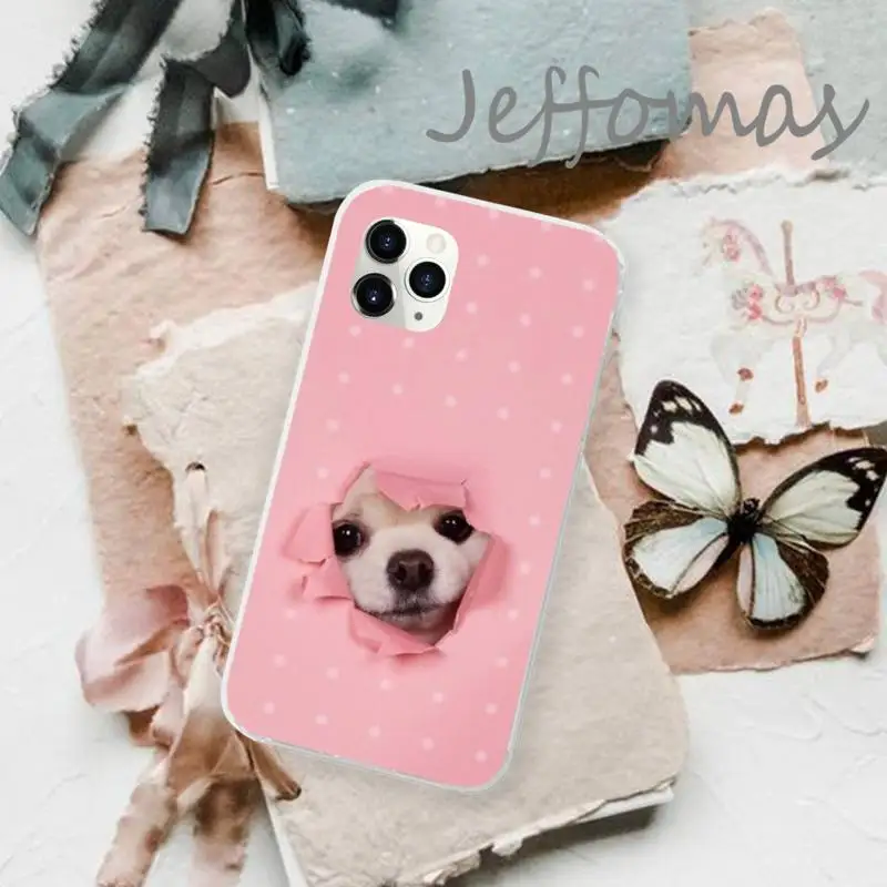Animal Chihuahua dog Phone Case Transparent for iPhone 11 12 mini pro XS MAX 8 7 6 6S Plus X 5S SE 2020 XR
Animal Chihuahua dog Phone Case Transparent for iPhone 11 12 mini pro XS MAX 8 7 6 6S Plus X 5S SE 2020 XR