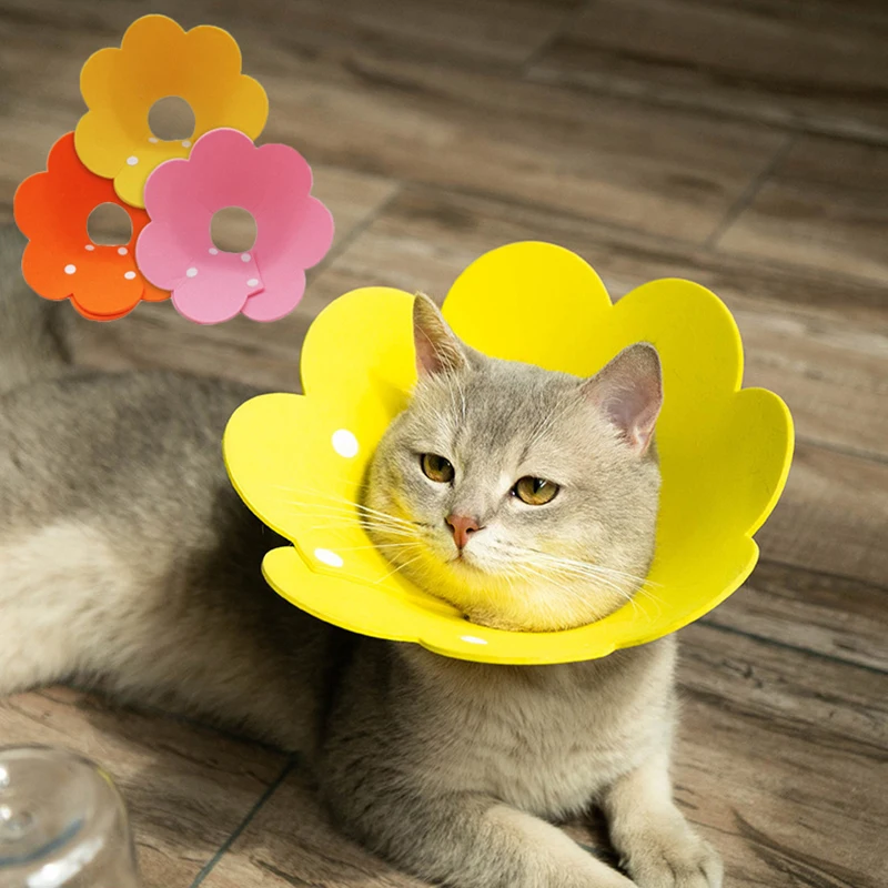Sweet Flower Shaped Cat Recovery Collar Solid Color Pet Collar Wound Healing Protection Cute Sunflower Anti-bite Collar 
Sweet Flower Shaped Cat Recovery Collar Solid Color Pet Collar Wound Healing Protection Cute Sunflower Anti-bite Collar