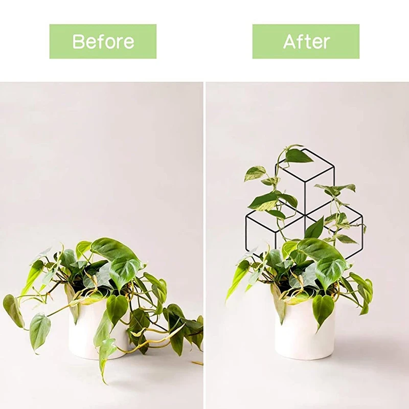 Garden Metal Trellis, Lattice-Shaped Plant Trellis for DIY Potted Climbing Plants Support, Flower Vegetable Vine
Garden Metal Trellis, Lattice-Shaped Plant Trellis for DIY Potted Climbing Plants Support, Flower Vegetable Vine