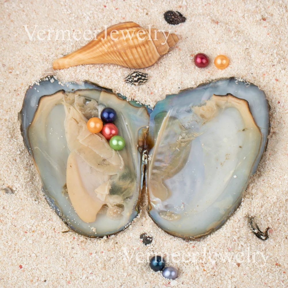 100pcs quads freshwater oyster with 6-7 aaaa pearls colored for pearl party four different color in oyster freeshipping DHL
100pcs quads freshwater oyster with 6-7 aaaa pearls colored for pearl party four different color in oyster freeshipping DHL