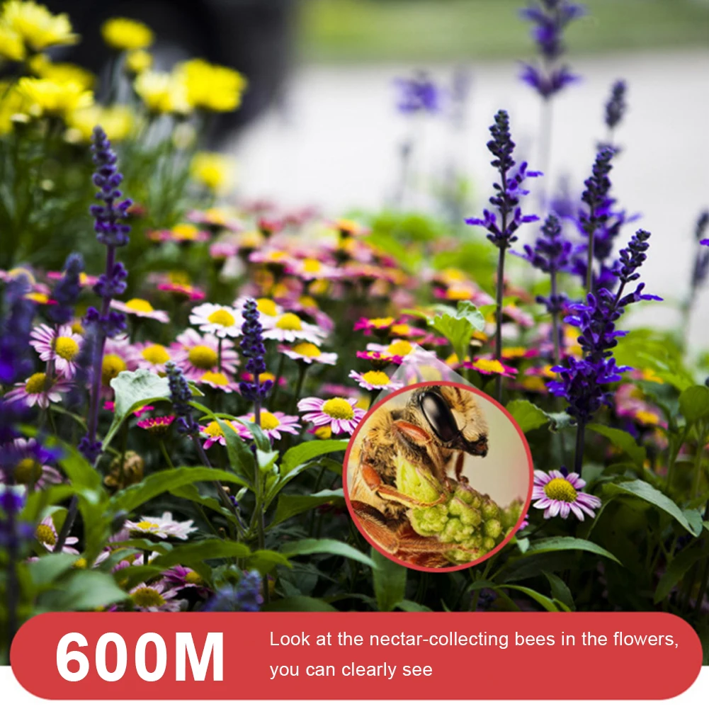 6060 Binocular Telescope High Powered Binocular Telescope For Bird Watching Travel Concerts Theater Opera Camping And Hiking
6060 Binocular Telescope High Powered Binocular Telescope For Bird Watching Travel Concerts Theater Opera Camping And Hiking