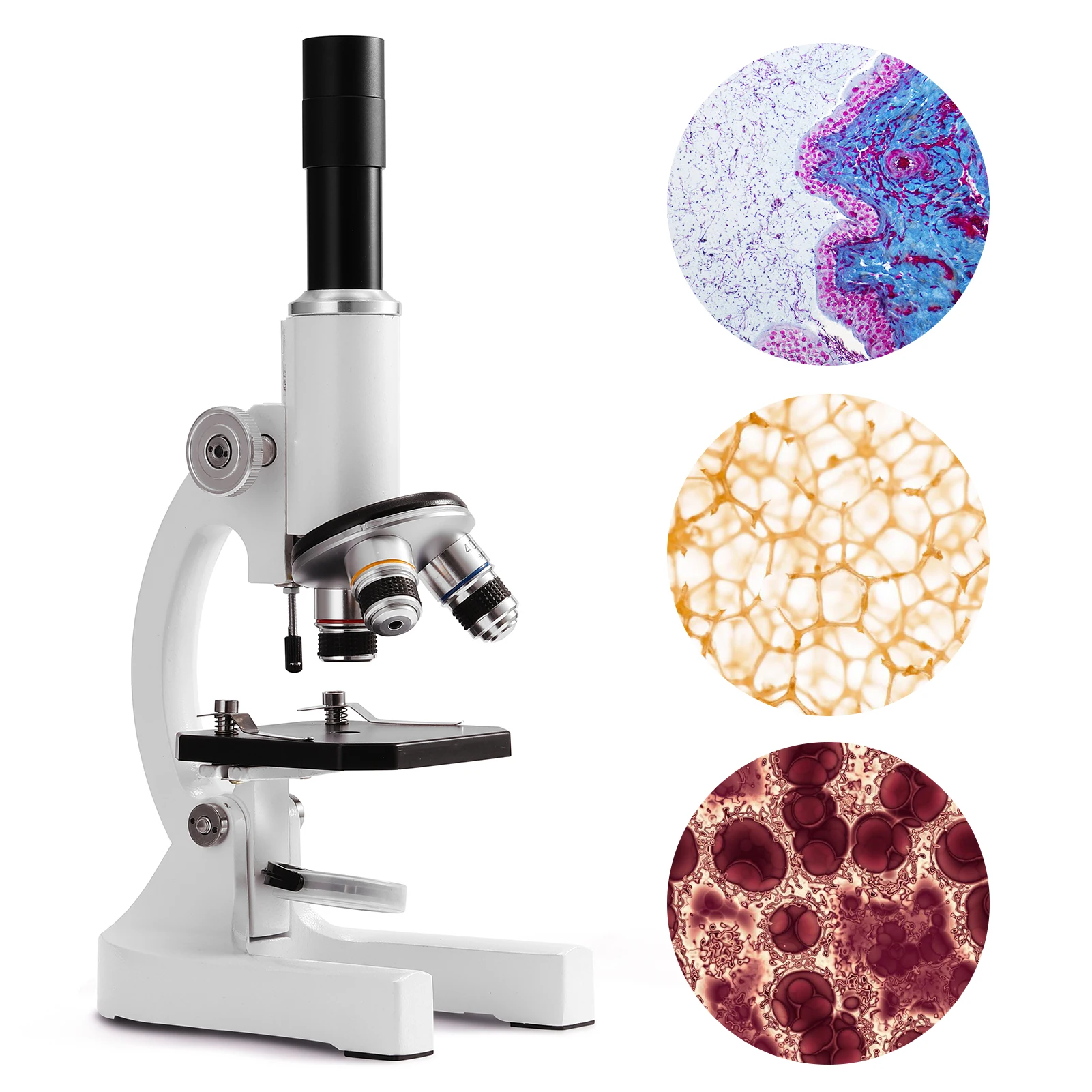 64X-2400X Monocular Optical Microscope Elementary School Children Science Experimental Biology Teaching Digital Microscope
64X-2400X Monocular Optical Microscope Elementary School Children Science Experimental Biology Teaching Digital Microscope