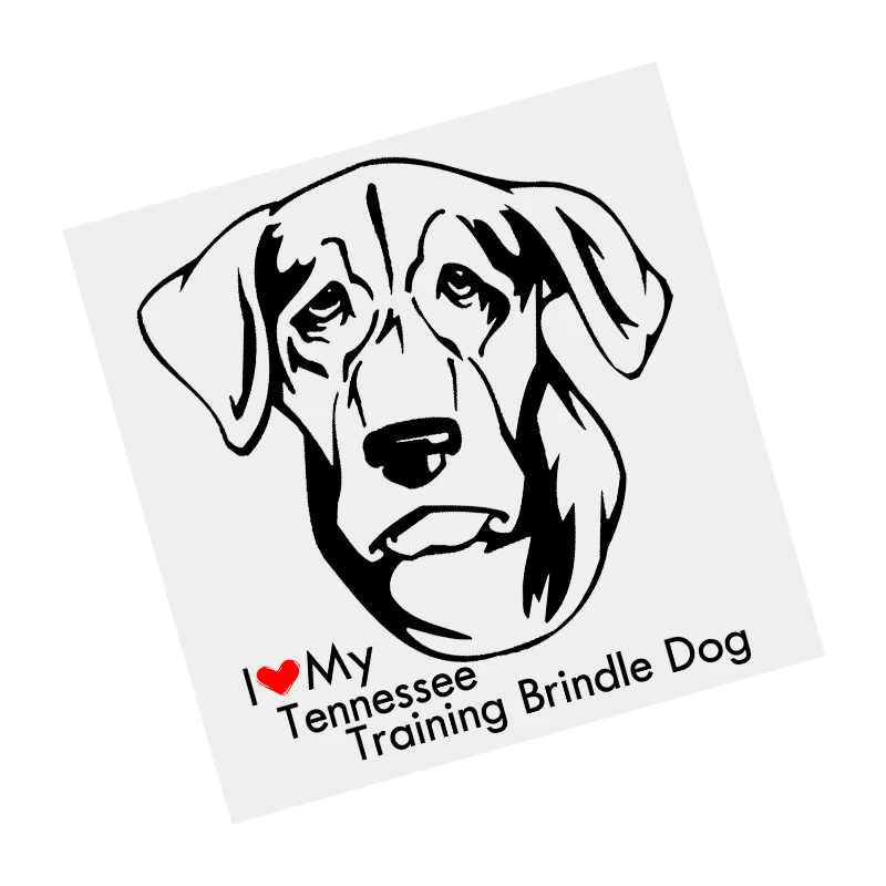 S61674# Tennessee Training Brindle Dog Black Transparent Car Sticker Vinyl Decal Waterproof Decors for Motorcycle Bumper Laptop
S61674# Tennessee Training Brindle Dog Black Transparent Car Sticker Vinyl Decal Waterproof Decors for Motorcycle Bumper Laptop