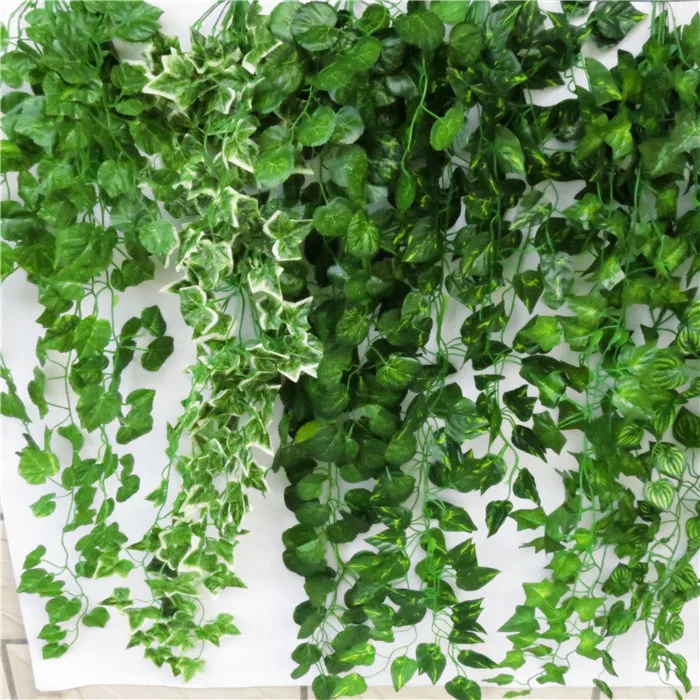 Begonia Leaf Grape Leaf Watermelon Leaf Evergreen Leaf Soft Hanging Festival Supplies Chlorophytum Green
Begonia Leaf Grape Leaf Watermelon Leaf Evergreen Leaf Soft Hanging Festival Supplies Chlorophytum Green