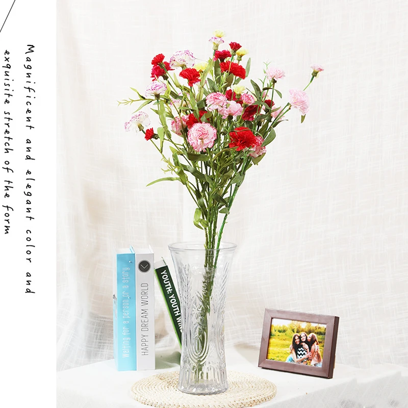 1Pcs Artificial Flower Silk Carnation 70Cm Fake Plant Home Garden Mother's Day Christmas Party Decoration Accessories
1Pcs Artificial Flower Silk Carnation 70Cm Fake Plant Home Garden Mother's Day Christmas Party Decoration Accessories