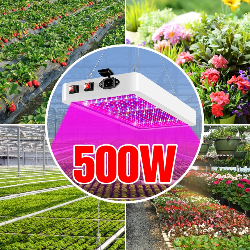 300W 500W Phyto Lamp LED Full Spectrum Grow Light 220V Plant Lamp EU US UK Plug Growing Tent For Seedling Flower LED Fitolampy 
300W 500W Phyto Lamp LED Full Spectrum Grow Light 220V Plant Lamp EU US UK Plug Growing Tent For Seedling Flower LED Fitolampy