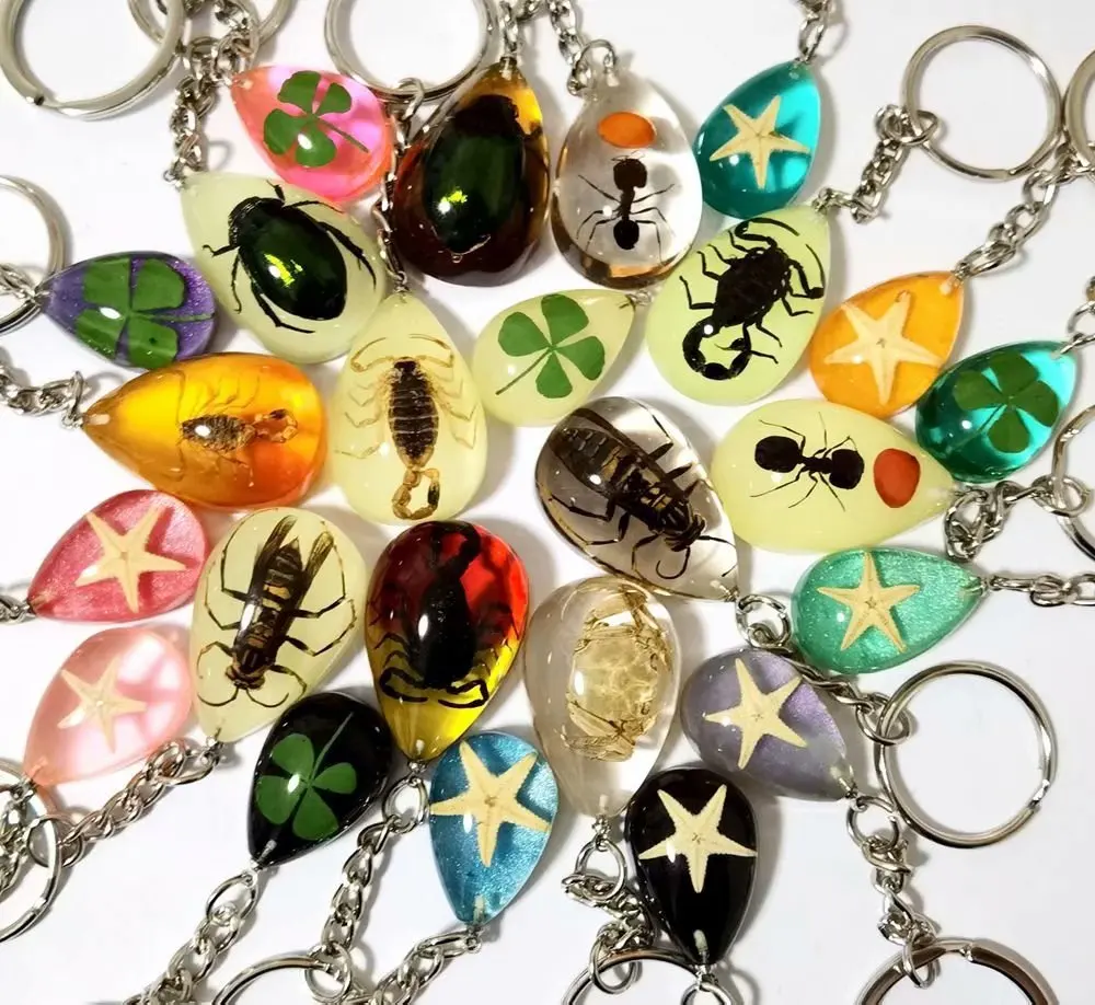 YQTDMY 12 pcs mixed color drop vogue scorpion star keychain Specimen keychain Crafts
YQTDMY 12 pcs mixed color drop vogue scorpion star keychain Specimen keychain Crafts