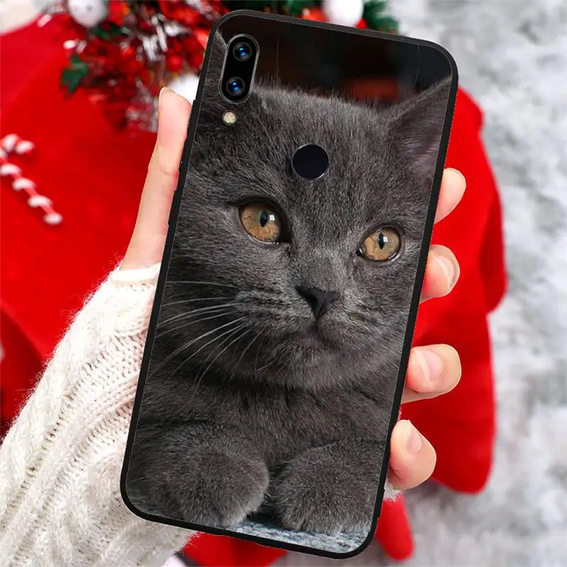 British shorthair cute cat animal Phone Case For Xiaomi Redmi note 7 8 9 t k30 max3 9 s 10 pro lite
British shorthair cute cat animal Phone Case For Xiaomi Redmi note 7 8 9 t k30 max3 9 s 10 pro lite
