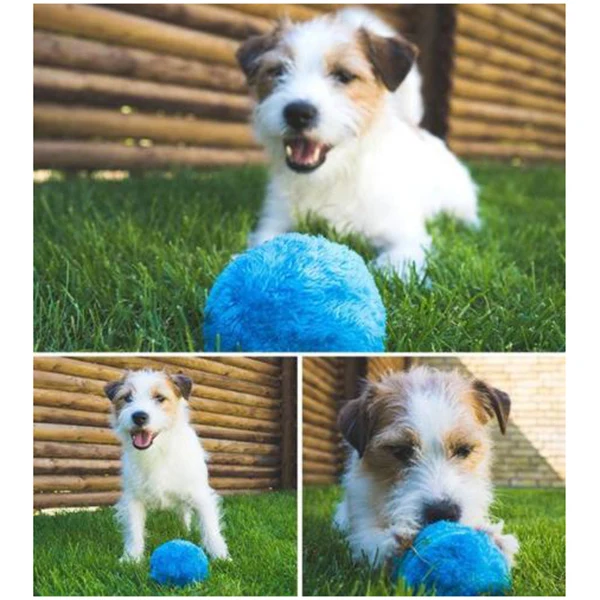 Dust Gone Automatic Rolling Ball Electric Dust Cleaner Mocoro Mini Sweeping Household Supplies HEE889
Dust Gone Automatic Rolling Ball Electric Dust Cleaner Mocoro Mini Sweeping Household Supplies HEE889