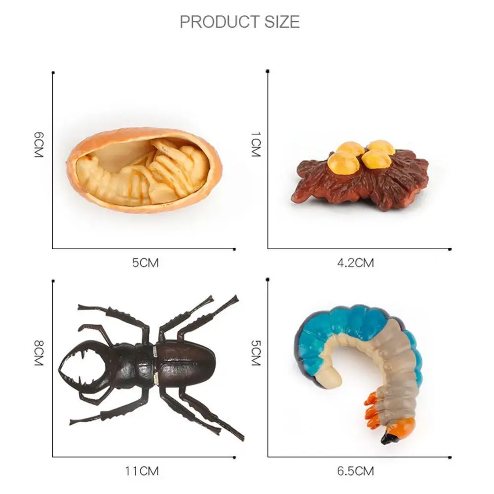 4pcs/5pcs imulation Butterfly Stag Insect Figures the Life Cycle of a Butterfly Figurine Educational toys
4pcs/5pcs imulation Butterfly Stag Insect Figures the Life Cycle of a Butterfly Figurine Educational toys