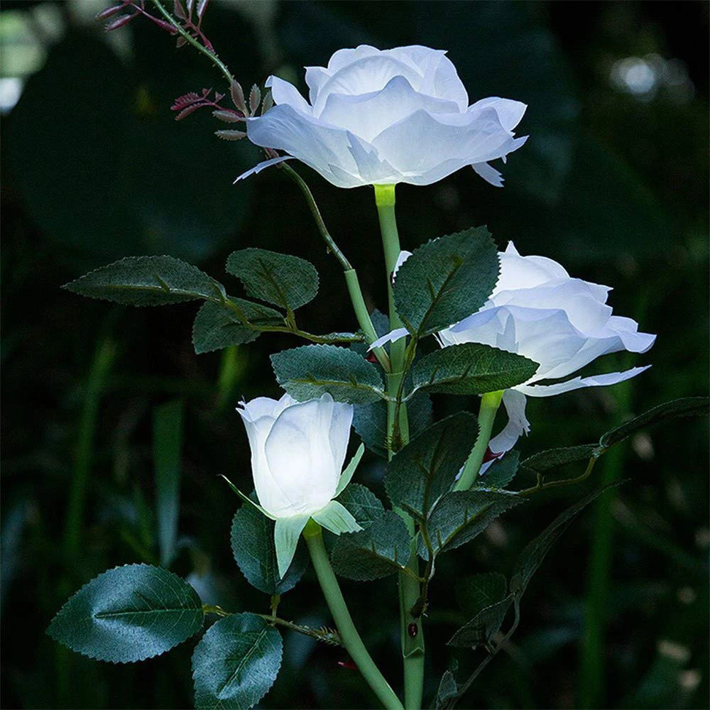 3 Head White Rose flower Solar Light LED Decorative Fake Flower IP44 Waterproof Outdoor Lawn Lamp Home Garden Night Lights Lamps
3 Head White Rose flower Solar Light LED Decorative Fake Flower IP44 Waterproof Outdoor Lawn Lamp Home Garden Night Lights Lamps