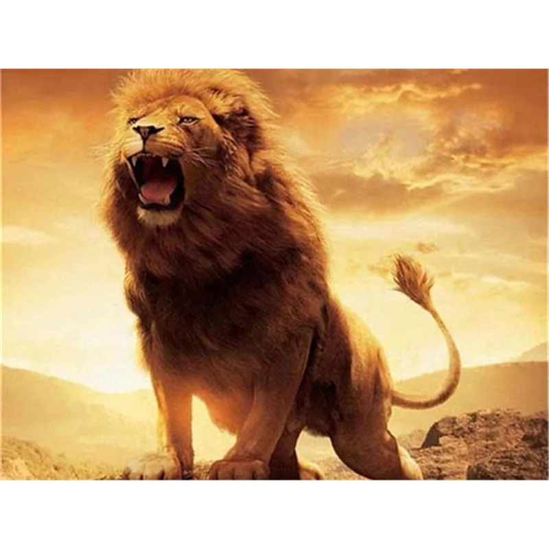 Полноразмерная квадратная/круглая бриллиантовая вышивка Стразы 5D DIY, распродажа, мозаика с животными, украшение для дома 
Полноразмерная квадратная/круглая бриллиантовая вышивка Стразы 5D DIY, распродажа, мозаика с животными, украшение для дома