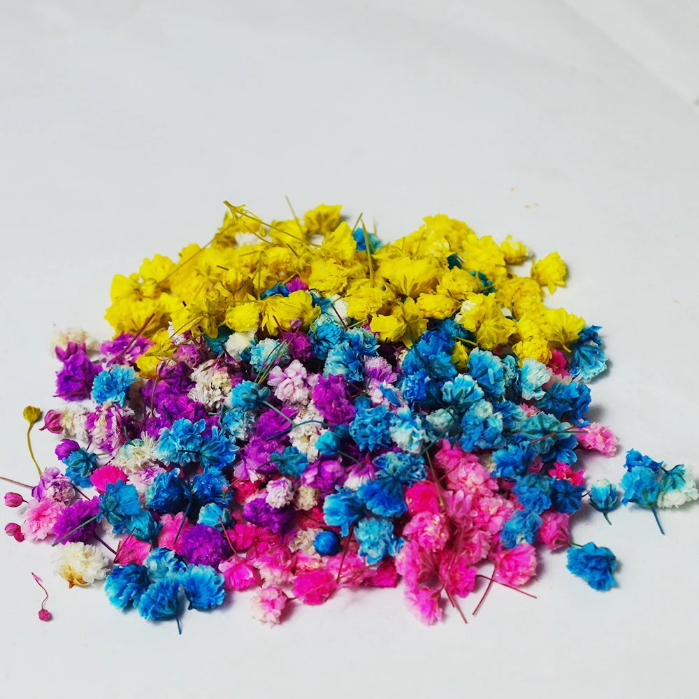 200pcs/Box Real Dried Flower Dry Plants For Aromatherapy Candle Epoxy Resin Pendant Necklace Jewelry Making Craft
200pcs/Box Real Dried Flower Dry Plants For Aromatherapy Candle Epoxy Resin Pendant Necklace Jewelry Making Craft
