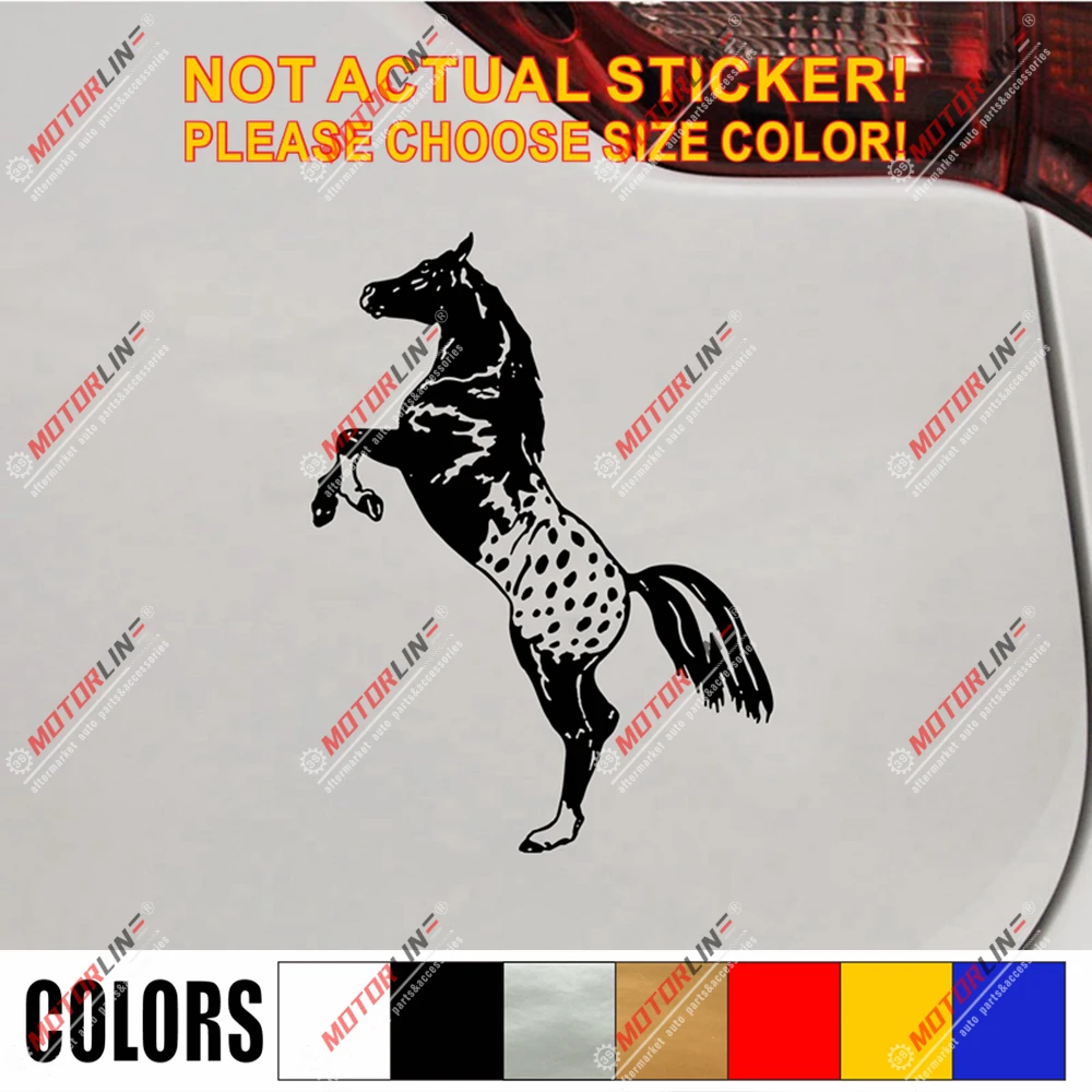 

Appaloosa Horse American Decal Sticker Car Vinyl pick size color no bkgrd b
