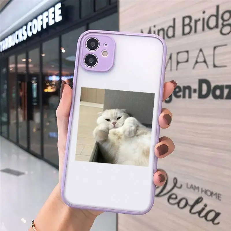 cat Phone Cases matte transparent For purple iPhone 7 8 x xs xr 11 12 pro plus max mini Clear Funda
cat Phone Cases matte transparent For purple iPhone 7 8 x xs xr 11 12 pro plus max mini Clear Funda
