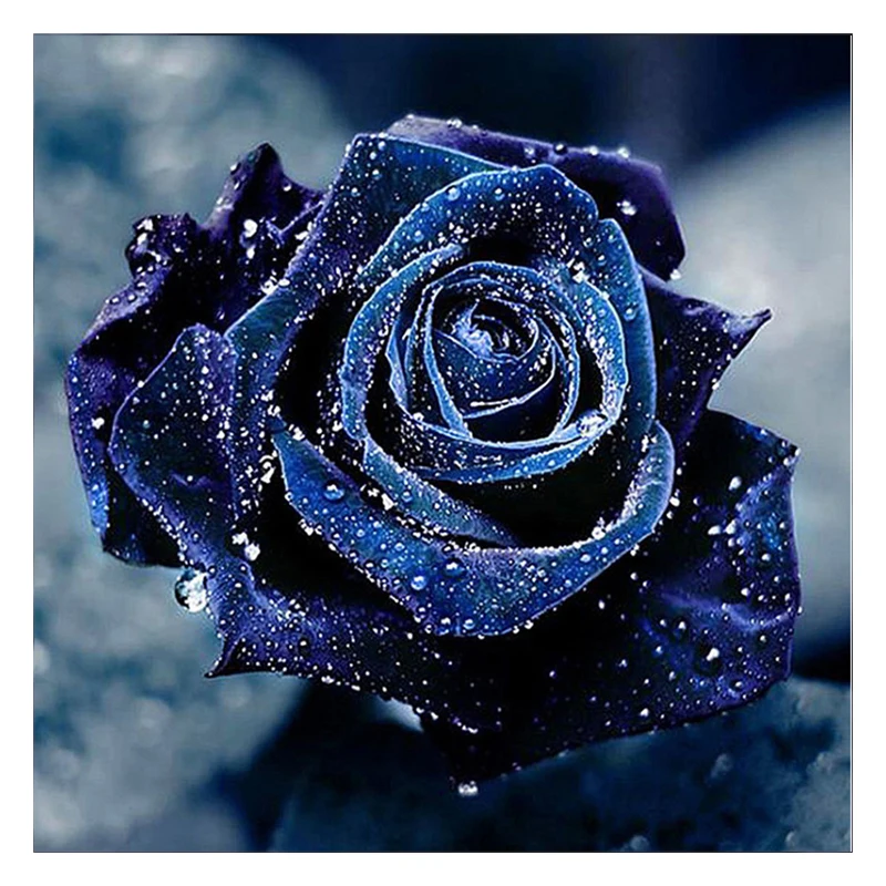 SenyuArt 5D Diamond Painting Full Round Embroidery Flower Rose Picture Mosaic Art Accessories Animal Cat Cross Stitch Kits Decor
SenyuArt 5D Diamond Painting Full Round Embroidery Flower Rose Picture Mosaic Art Accessories Animal Cat Cross Stitch Kits Decor