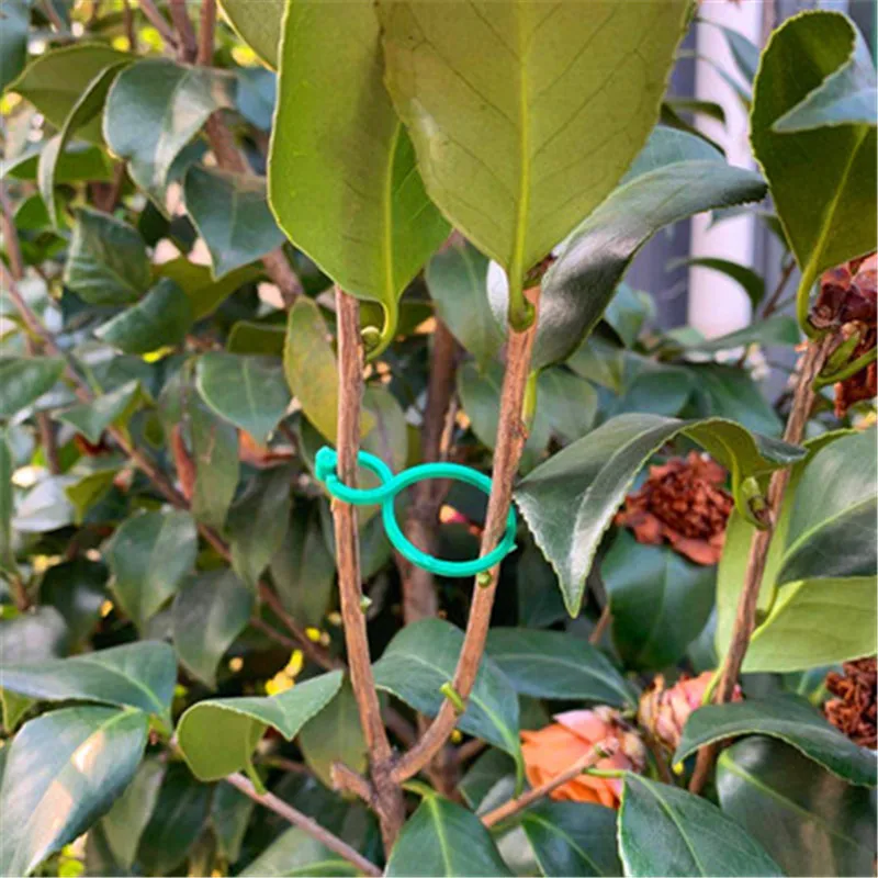 10-100pcs Botany-stem Vine Strapping Clips Garden Plant Bundled Buckle Ring Tool Fasten Stand Holder Fixed Suppor Decor Acces
10-100pcs Botany-stem Vine Strapping Clips Garden Plant Bundled Buckle Ring Tool Fasten Stand Holder Fixed Suppor Decor Acces