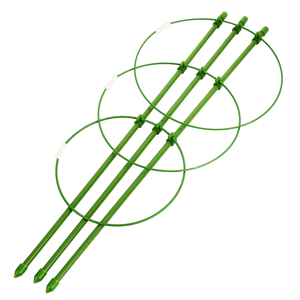 Tomato Plants Flower Decorative Durable Creative Vine Climbing Rack 60cm Peppers Diy Eggplants Plants Support Pot Plant Trellis
Tomato Plants Flower Decorative Durable Creative Vine Climbing Rack 60cm Peppers Diy Eggplants Plants Support Pot Plant Trellis