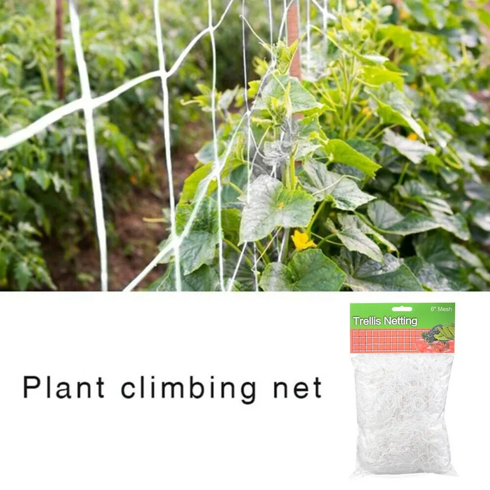 Save Space Plant Climbing Net Support Support Net Climbing Aid For Climbing Plants Garden Net
Save Space Plant Climbing Net Support Support Net Climbing Aid For Climbing Plants Garden Net