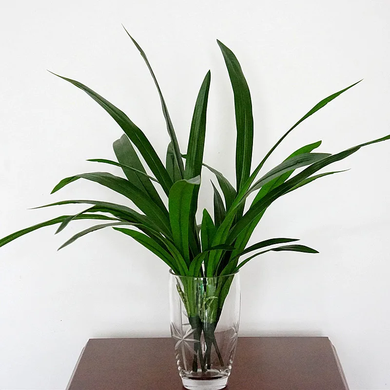 Simulation of Cymbidium Leaves Artificial Plants Home Decoration Flower Accessories Fake Greenery Orchid Leaf Photography Props
Simulation of Cymbidium Leaves Artificial Plants Home Decoration Flower Accessories Fake Greenery Orchid Leaf Photography Props