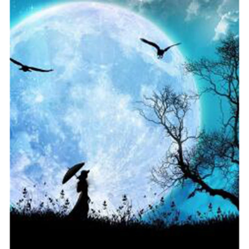 Diamond Painting 5D DIY Square/Round Diamond Character Painting Moon Under the Moon Scenery Picture Cross Stitch Decor Art TX540
Diamond Painting 5D DIY Square/Round Diamond Character Painting Moon Under the Moon Scenery Picture Cross Stitch Decor Art TX540