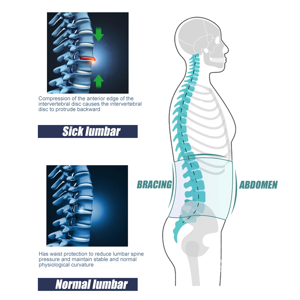 Опора для спины и нижней части Обеспечивает облегчение боли в спине-Стандартные