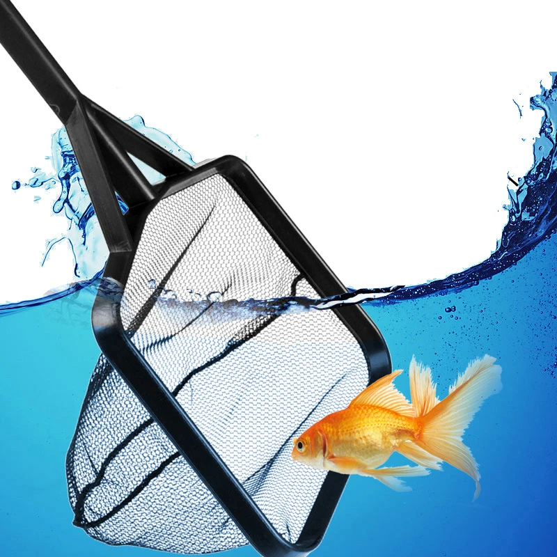 Aquarium Fish Tank Fishing Net Scoop Aquarium Fish Shrimp Float Skimmer Children Catching Butterfly Dragonfly Tadpole Tool
Aquarium Fish Tank Fishing Net Scoop Aquarium Fish Shrimp Float Skimmer Children Catching Butterfly Dragonfly Tadpole Tool