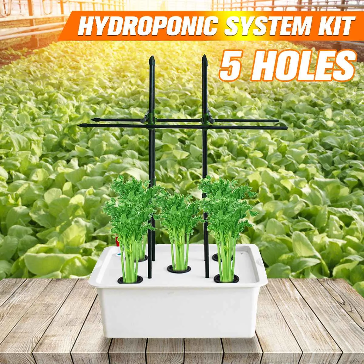 220V Plants Site Hydroponic Systems 5 Holes Nursery Pots Soilless Vegetables Cultivation Growing Box With Air Pump Hydroponics
220V Plants Site Hydroponic Systems 5 Holes Nursery Pots Soilless Vegetables Cultivation Growing Box With Air Pump Hydroponics