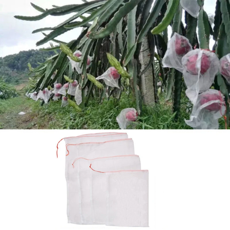 AU 100QTY Fruit Fly Protection Bags Exclusion Net Storage Mesh Bag Stop Pest Bug
AU 100QTY Fruit Fly Protection Bags Exclusion Net Storage Mesh Bag Stop Pest Bug