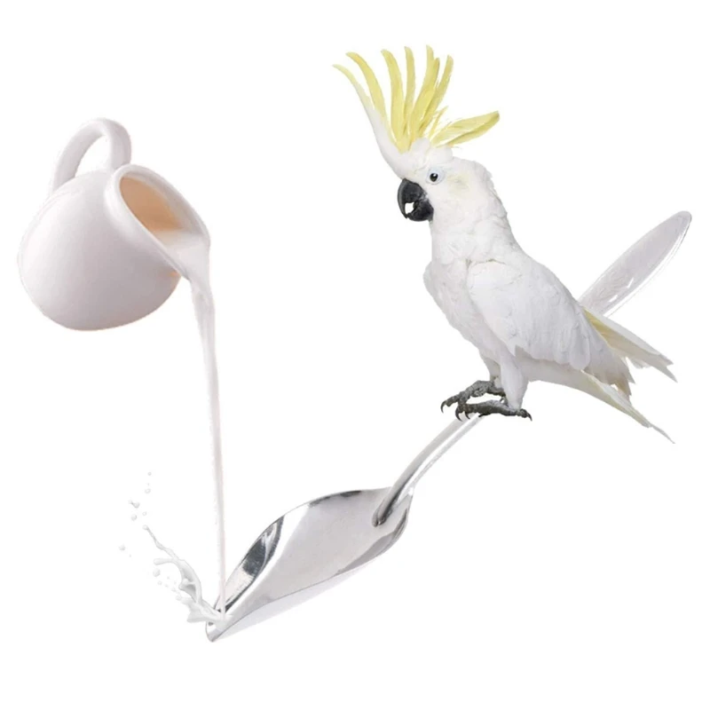 50JD Bird Feeding Dish Cups Parrot Food Bowl Clamp Holder Coop Cup Cage Water Bowl for Parakeet Conure with Spoon Rattan Ball
50JD Bird Feeding Dish Cups Parrot Food Bowl Clamp Holder Coop Cup Cage Water Bowl for Parakeet Conure with Spoon Rattan Ball