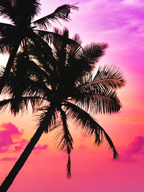 Diamond Painting Scenery Coconut tree Landscape 5d Diy Mosaic Full Square Drill Diamant Of Rhinestone Daimond Embroidery Picture
Diamond Painting Scenery Coconut tree Landscape 5d Diy Mosaic Full Square Drill Diamant Of Rhinestone Daimond Embroidery Picture
