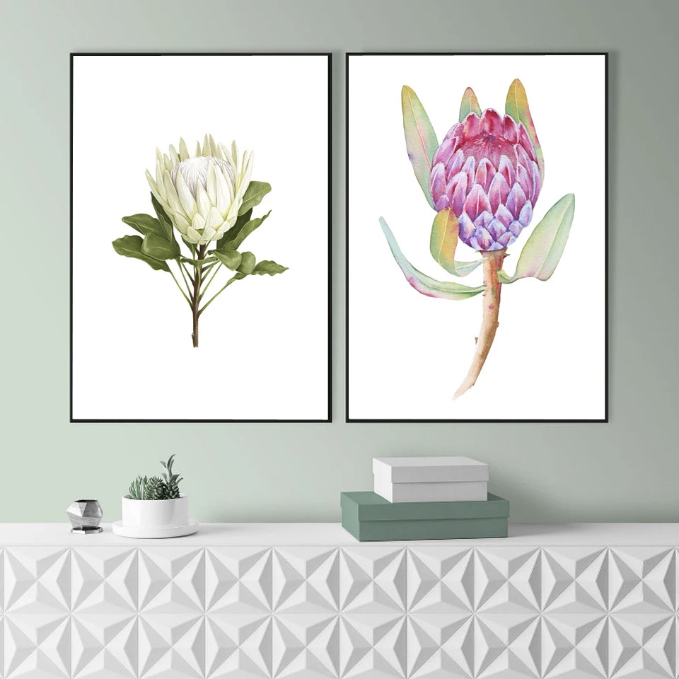 Posters and Prints Watercolor King Protea Home Decor Canvas Painting Blushing Flower Wall Pictures For Living Room Bedroom
Posters and Prints Watercolor King Protea Home Decor Canvas Painting Blushing Flower Wall Pictures For Living Room Bedroom