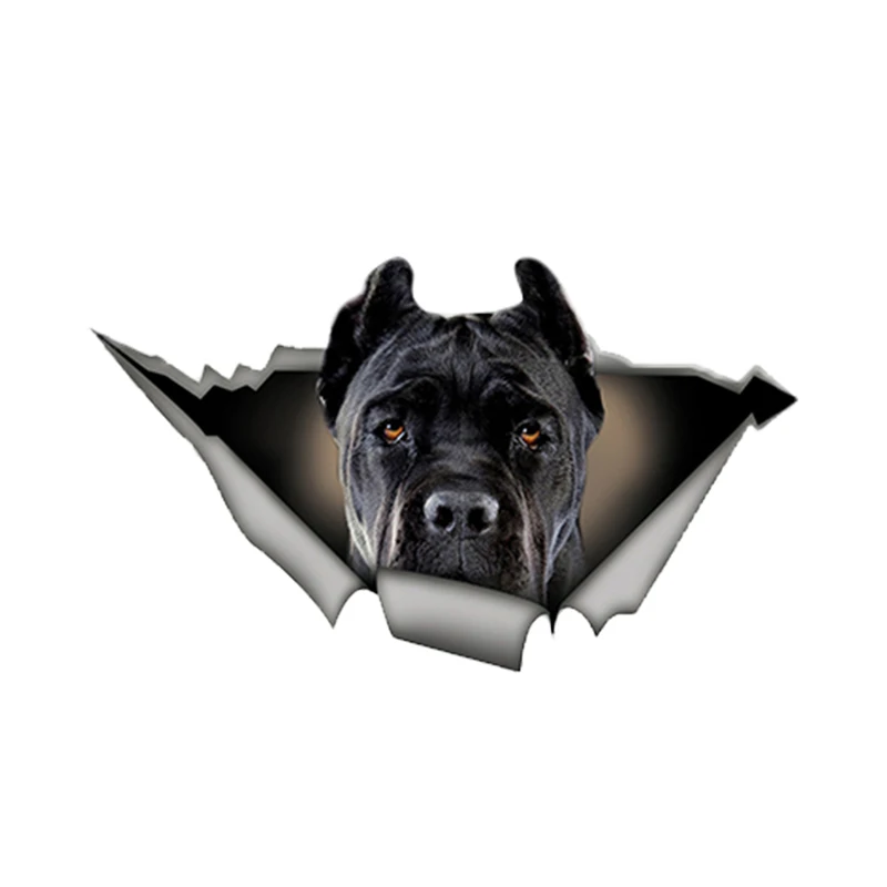 13cm x 7.6cm Black Cane Corso Car Sticker Torn Metal Decal Reflective Stickers Waterproof Car Styling Pet Dog Decals
13cm x 7.6cm Black Cane Corso Car Sticker Torn Metal Decal Reflective Stickers Waterproof Car Styling Pet Dog Decals