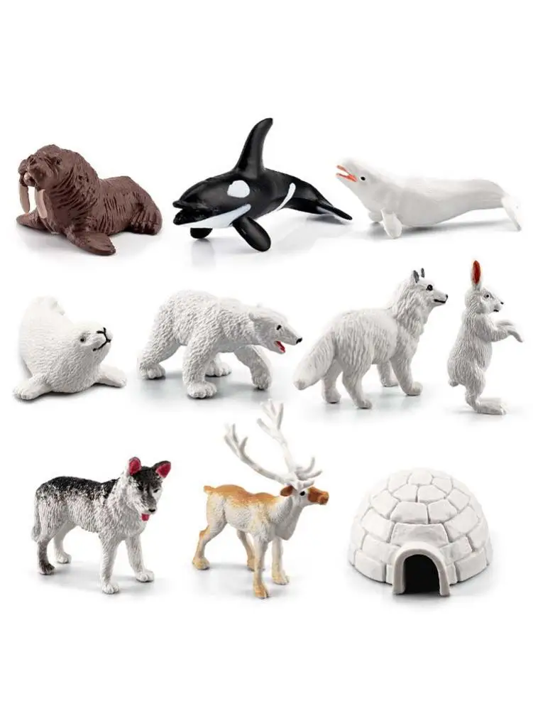 Mini Arctic Animals Penguins Polar Bear Snowy Owl Dolphin Wolf Action Figures Model Lifelike Sea Animals Figurines For Kids Toy
Mini Arctic Animals Penguins Polar Bear Snowy Owl Dolphin Wolf Action Figures Model Lifelike Sea Animals Figurines For Kids Toy