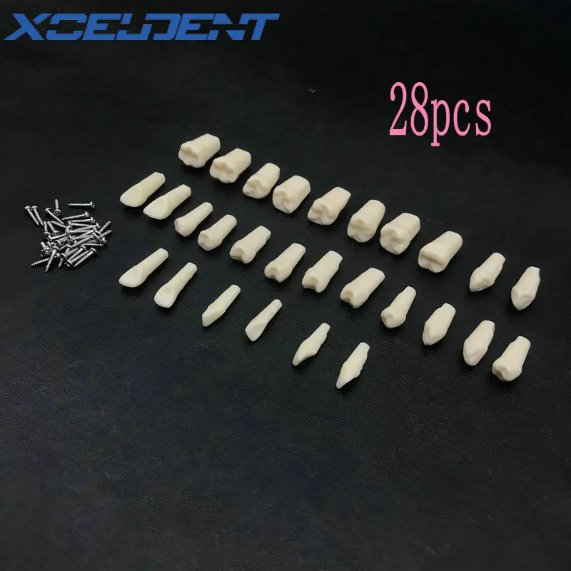 28 шт/32 штук, искусственный бриллиант из смолы моделирование зубов зерна стоматологический Материал для стоматолога экзамен подготовки уче...
28 шт/32 штук, искусственный бриллиант из смолы моделирование зубов зерна стоматологический Материал для стоматолога экзамен подготовки уче...