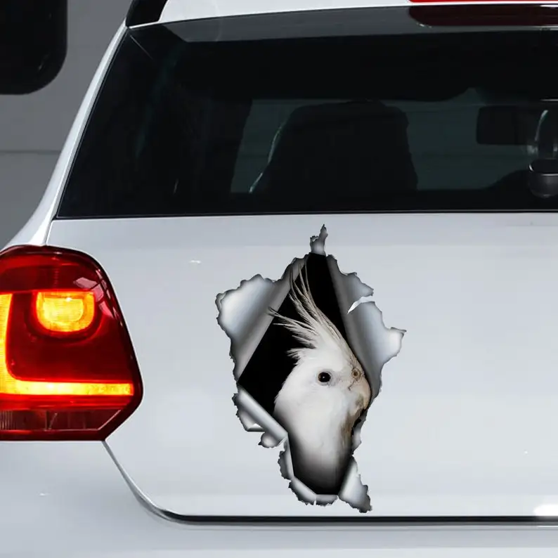 Albino Cockatiel car decal, Albino Cockatiel magnet, torn metal decal, Albino Cockatiel sticker
Albino Cockatiel car decal, Albino Cockatiel magnet, torn metal decal, Albino Cockatiel sticker