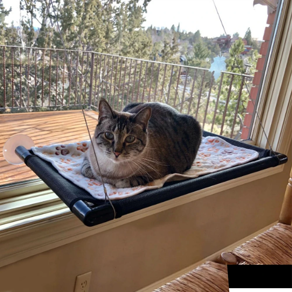 Милый домашний питомец подвесные кровати подшипник кошка солнечное окно сиденье Крепление для домашнего питомца гамак удобная кровать для...
Милый домашний питомец подвесные кровати подшипник кошка солнечное окно сиденье Крепление для домашнего питомца гамак удобная кровать для...