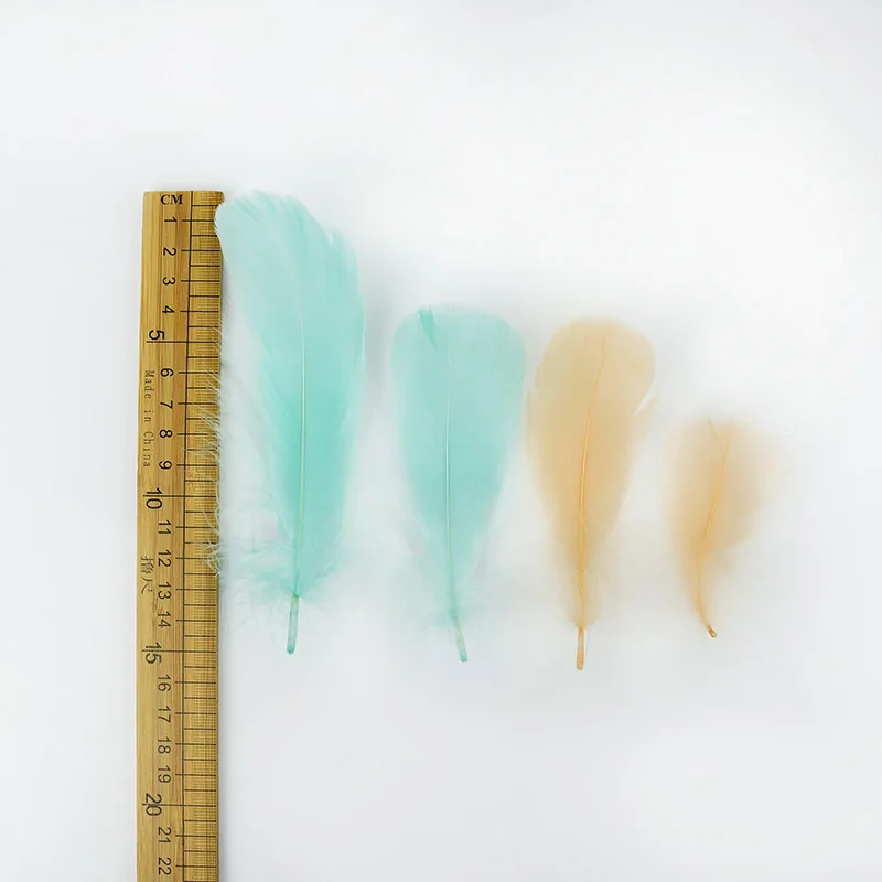 8-12cm Natural Feathers 100pcs Soft Goose Plumes Warm Color Dyed Feather DIY Craft Decor for Christmas Wedding Party Decoration
8-12cm Natural Feathers 100pcs Soft Goose Plumes Warm Color Dyed Feather DIY Craft Decor for Christmas Wedding Party Decoration