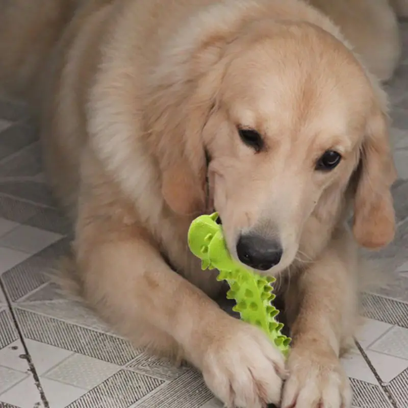 New Pet Dog Toy Bite-Resistant Molar Cleaning Tooth Rubber Toy Chewing Bone Preparation Bone
New Pet Dog Toy Bite-Resistant Molar Cleaning Tooth Rubber Toy Chewing Bone Preparation Bone