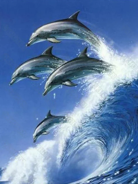 Diy Diamond Painting Embroidery Dolphin Cross Stitchs Diamond Painting Kit Mosaic Animals Sale Rhinestone Art Handmade Gift
Diy Diamond Painting Embroidery Dolphin Cross Stitchs Diamond Painting Kit Mosaic Animals Sale Rhinestone Art Handmade Gift